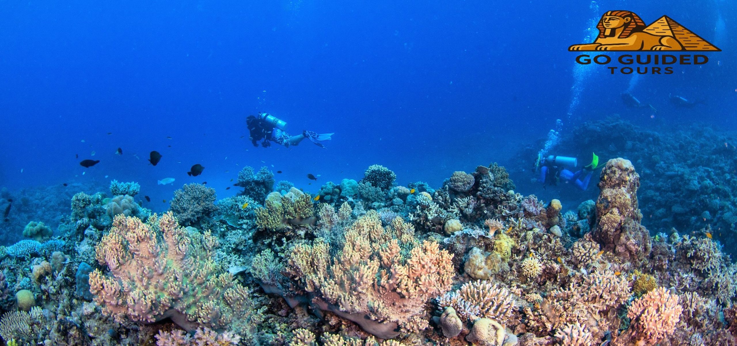 Second Reef Stop: Marine-Life Encounter at Premium Snorkelling Spots
