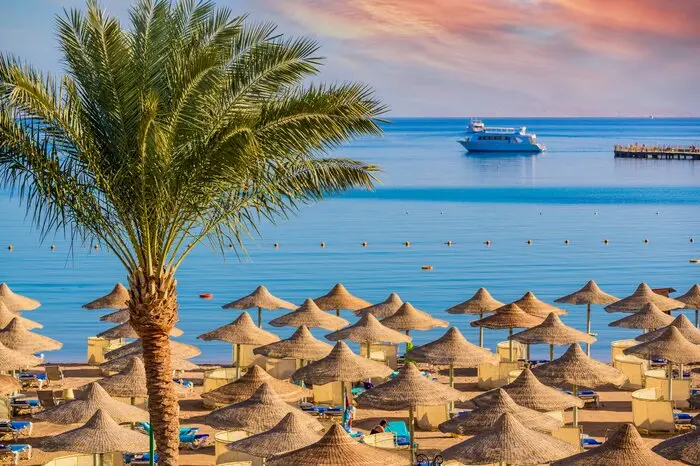 Palm-lined Red Sea beach at a Hurghada resort