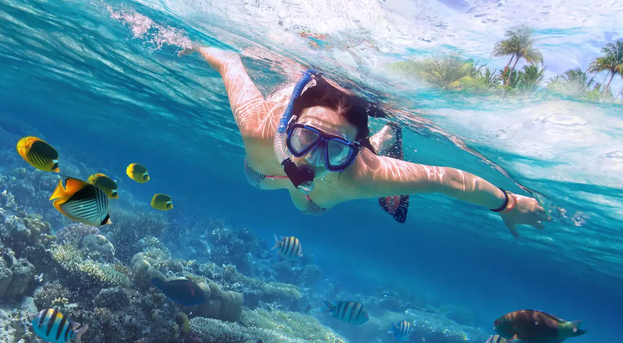 Snorkelling over colourful coral reefs in the Red Sea