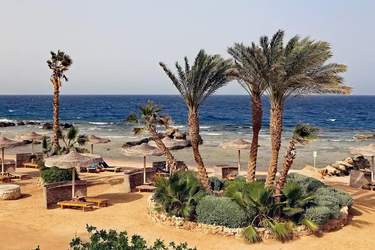 Palm-lined Red Sea resort beach in Hurghada