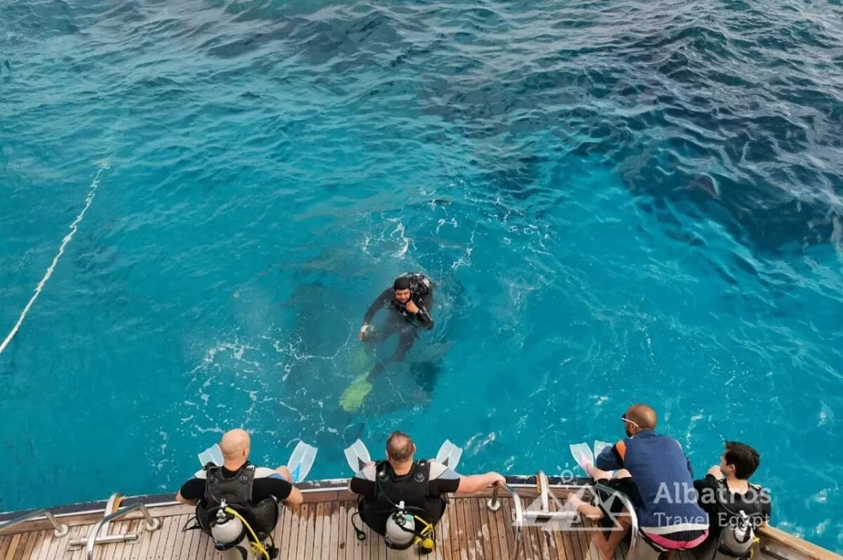 Scuba diving experience in the clear Red Sea near Hurghada
