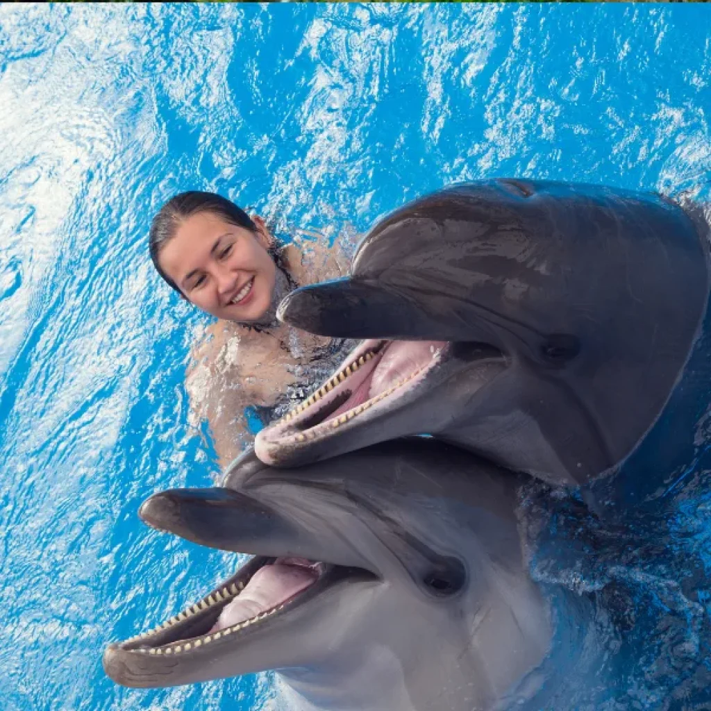 Dolphin Show Hurghada with Transfer AZ Travel Private