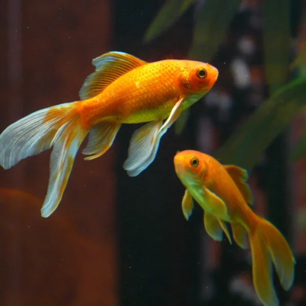 Hurghada Grand Aquarium