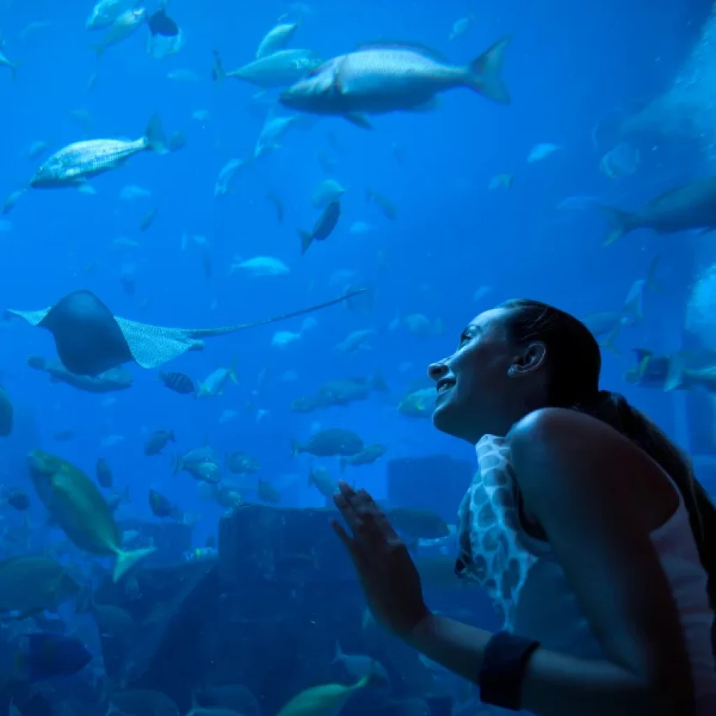 Hurghada Grand Aquarium