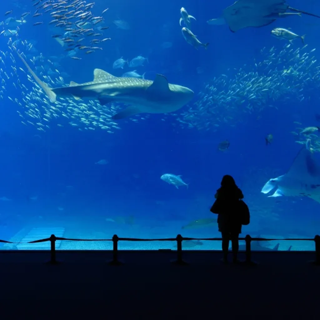 Hurghada Grand Aquarium
