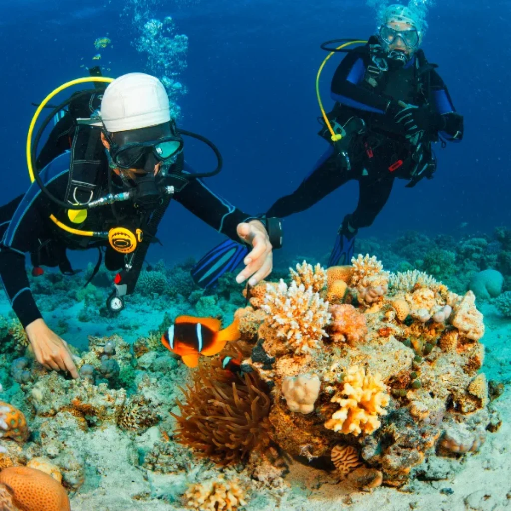 Padi Open Water Course Hurghada