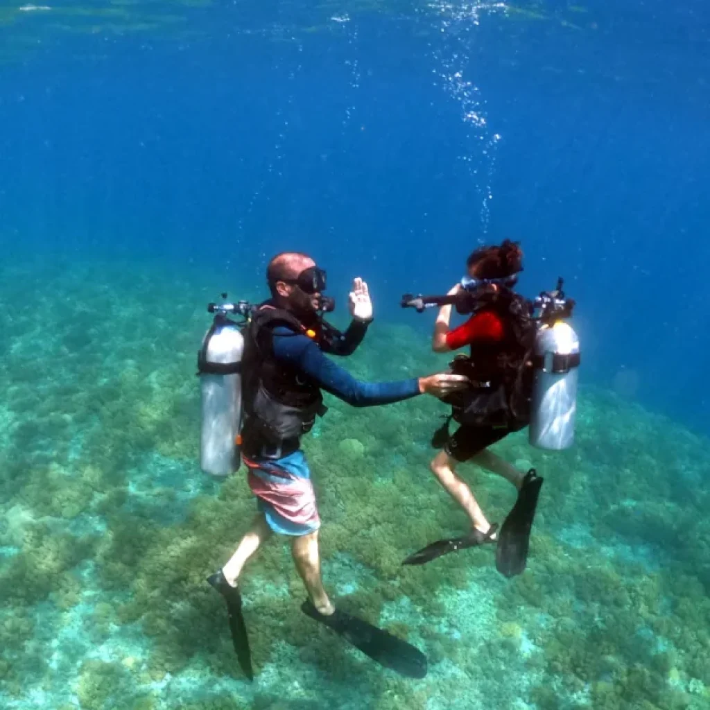 Padi Open Water Course Hurghada