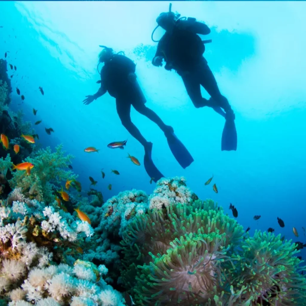 Scuba Diving Hurghada