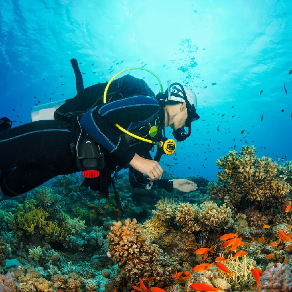 Scuba Diving Hurghada