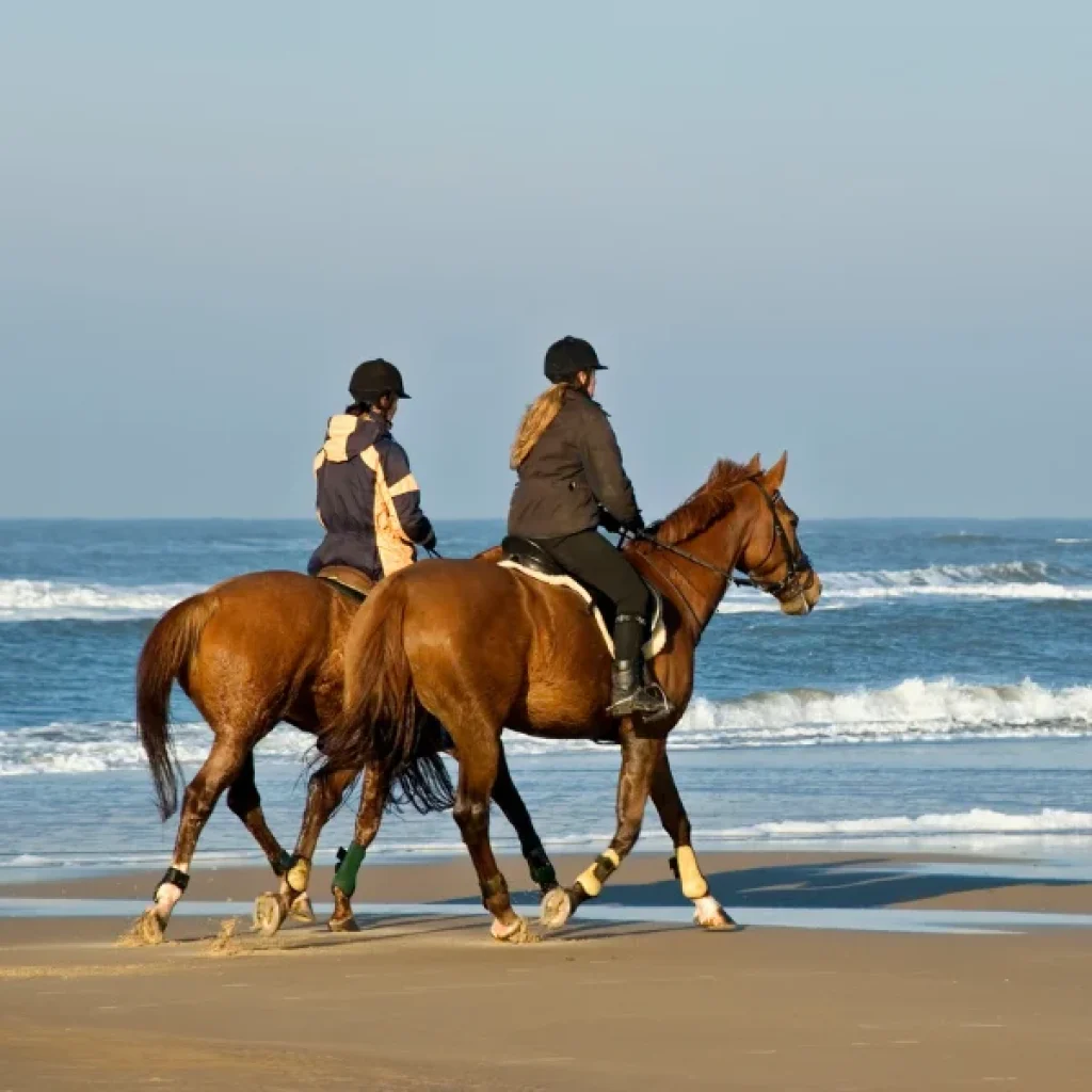 Get Your Guide Horse Riding Hurghada