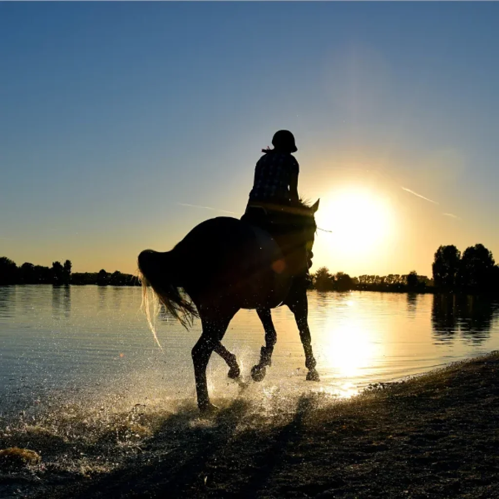 Horse Riding Hurghada