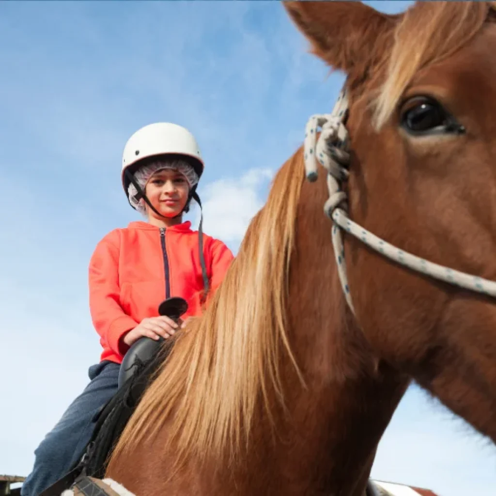 Horse Riding Hurghada