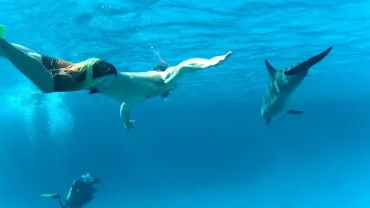 Dolphin House El Gouna