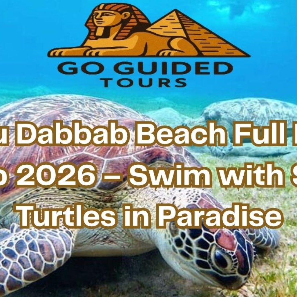 Abu Dabbab Beach Full Day Trip 2026 – Swim with Sea Turtles in Paradise