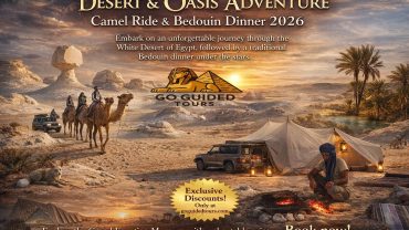 Desert & Oasis Adventure – Camel Ride & Bedouin Dinner 2026