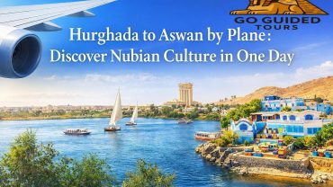 A Scenic Motorboat Cruise Through the First Cataract and Bird Sanctuary