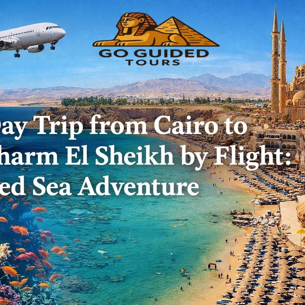 Day Trip from Cairo to Sharm El Sheikh by Flight: Red Sea Adventure