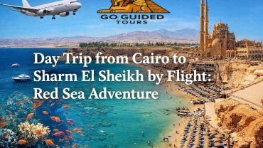 Day Trip from Cairo to Sharm El Sheikh by Flight : Red Sea Adventure