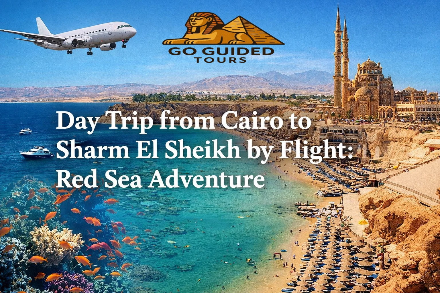 Day Trip from Cairo to Sharm El Sheikh by Flight: Red Sea Adventure