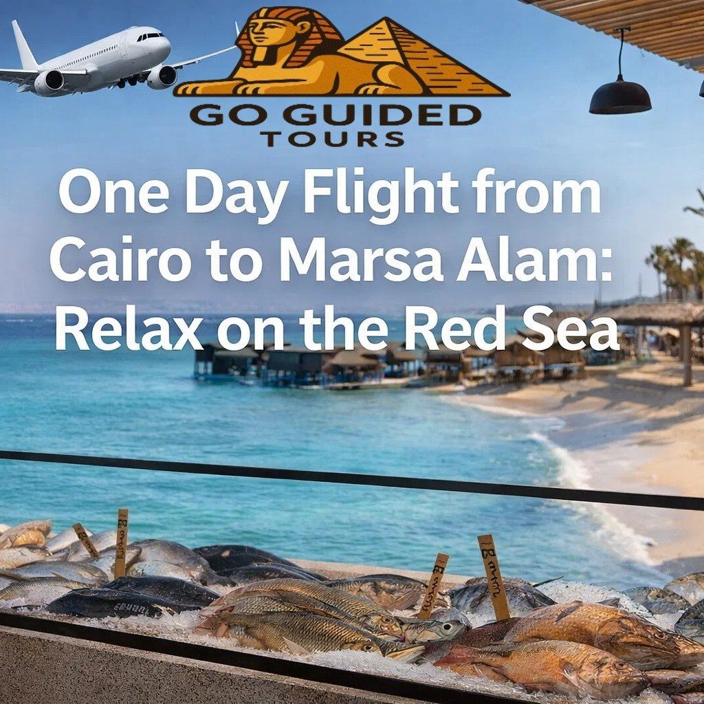 One Day Flight from Cairo to Marsa Alam: Relax on the Red Sea