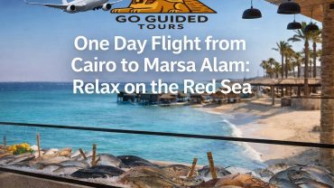 One Day Flight from Cairo to Marsa Alam : Relax on the Red Sea