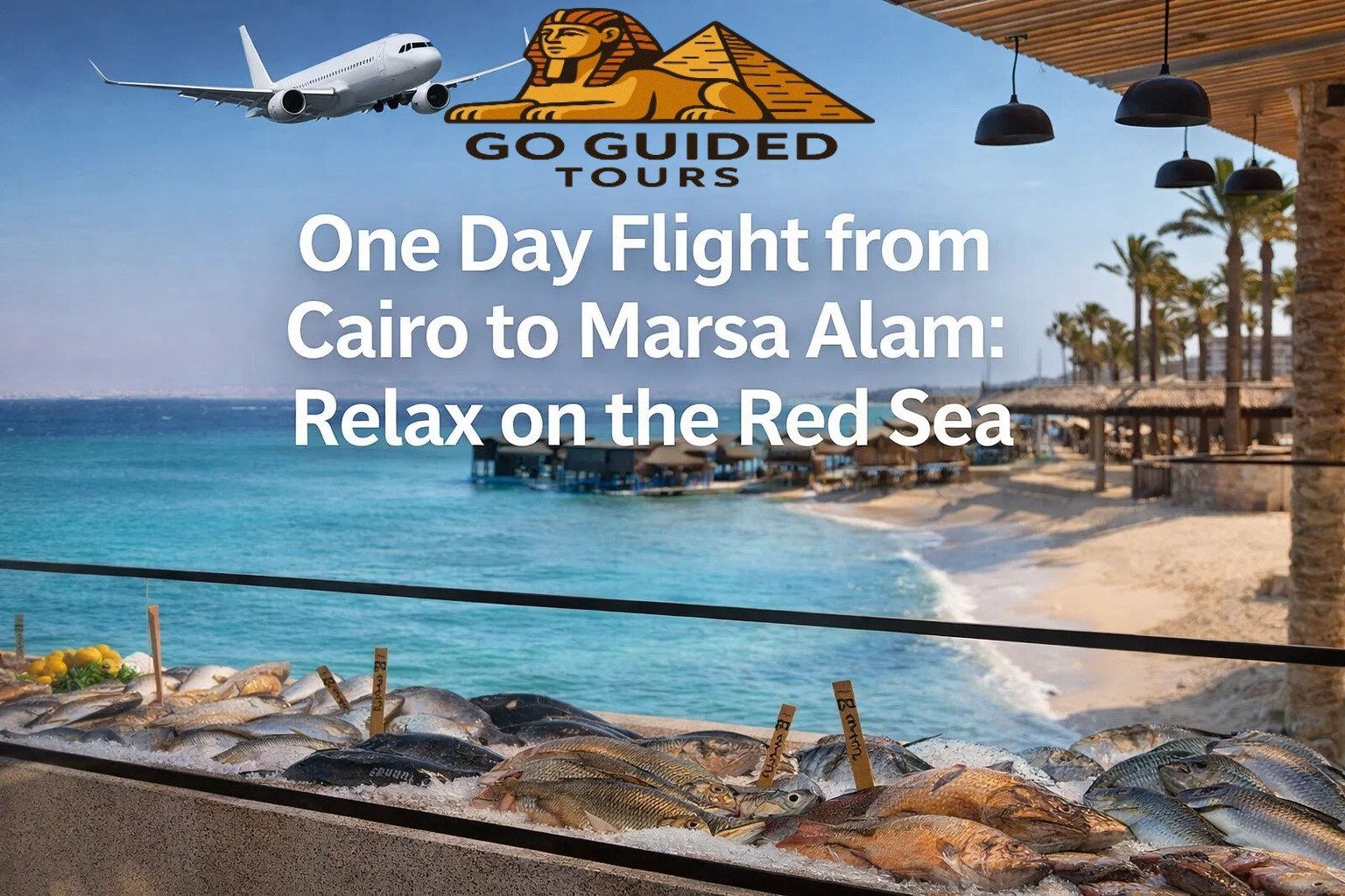 One Day Flight from Cairo to Marsa Alam: Relax on the Red Sea