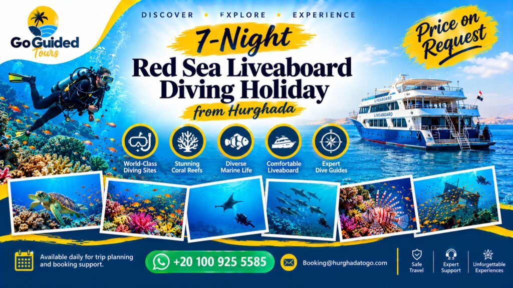 7-Night Red Sea Liveaboard Diving Holiday from Hurghada