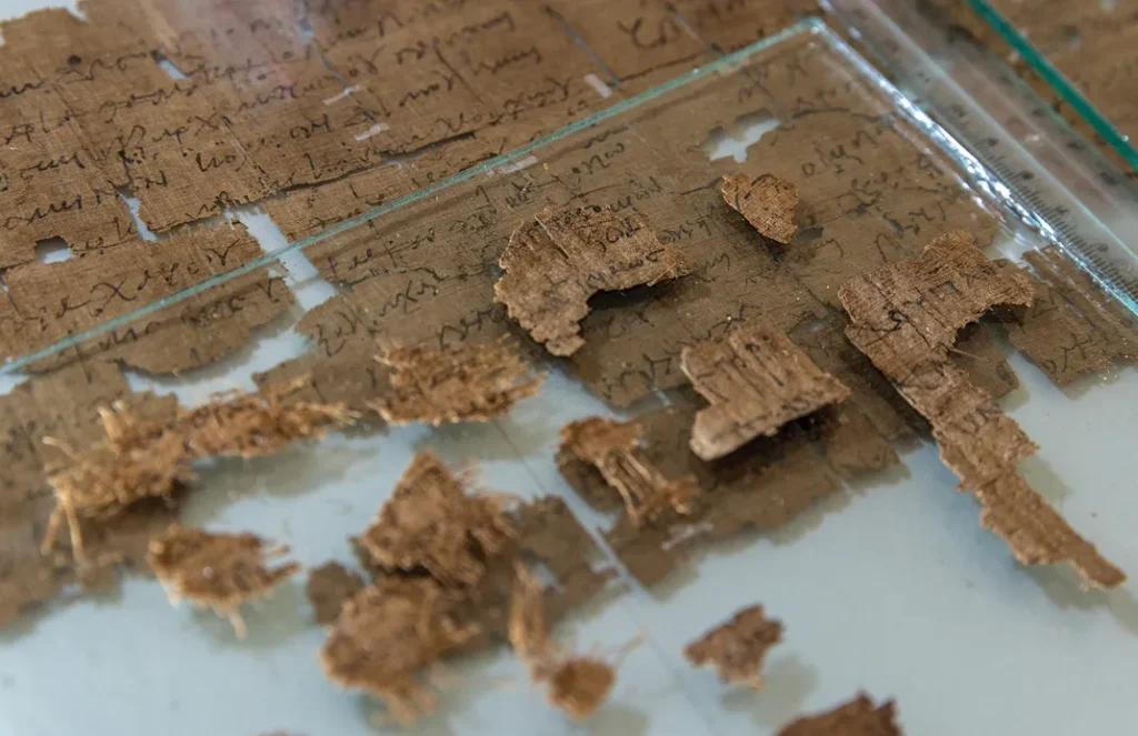 Aerial view of archaeological excavations at ancient Berenike on Egypt’s Red Sea coast